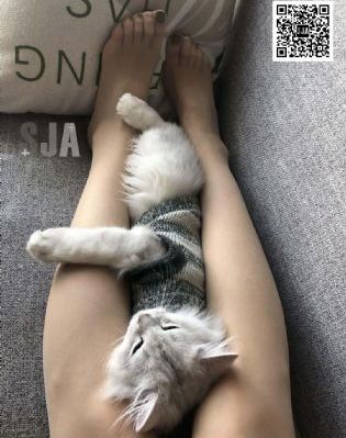 少妇太紧太爽又黄又硬又爽小说