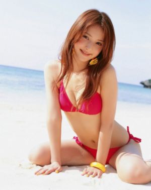 美女高清在线观看免费播放