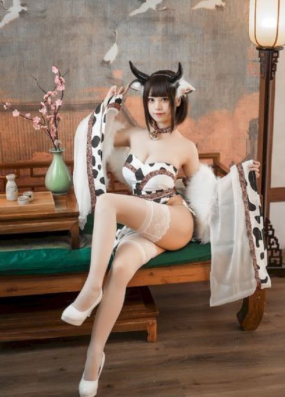 《县委大院》免费观看