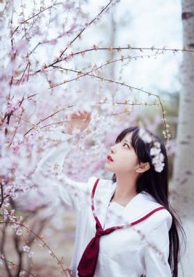 西行纪在线播放免费观看